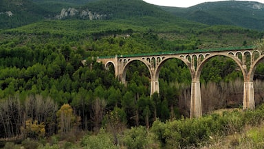 A stone viaduct with green railings spanning a forested valley.