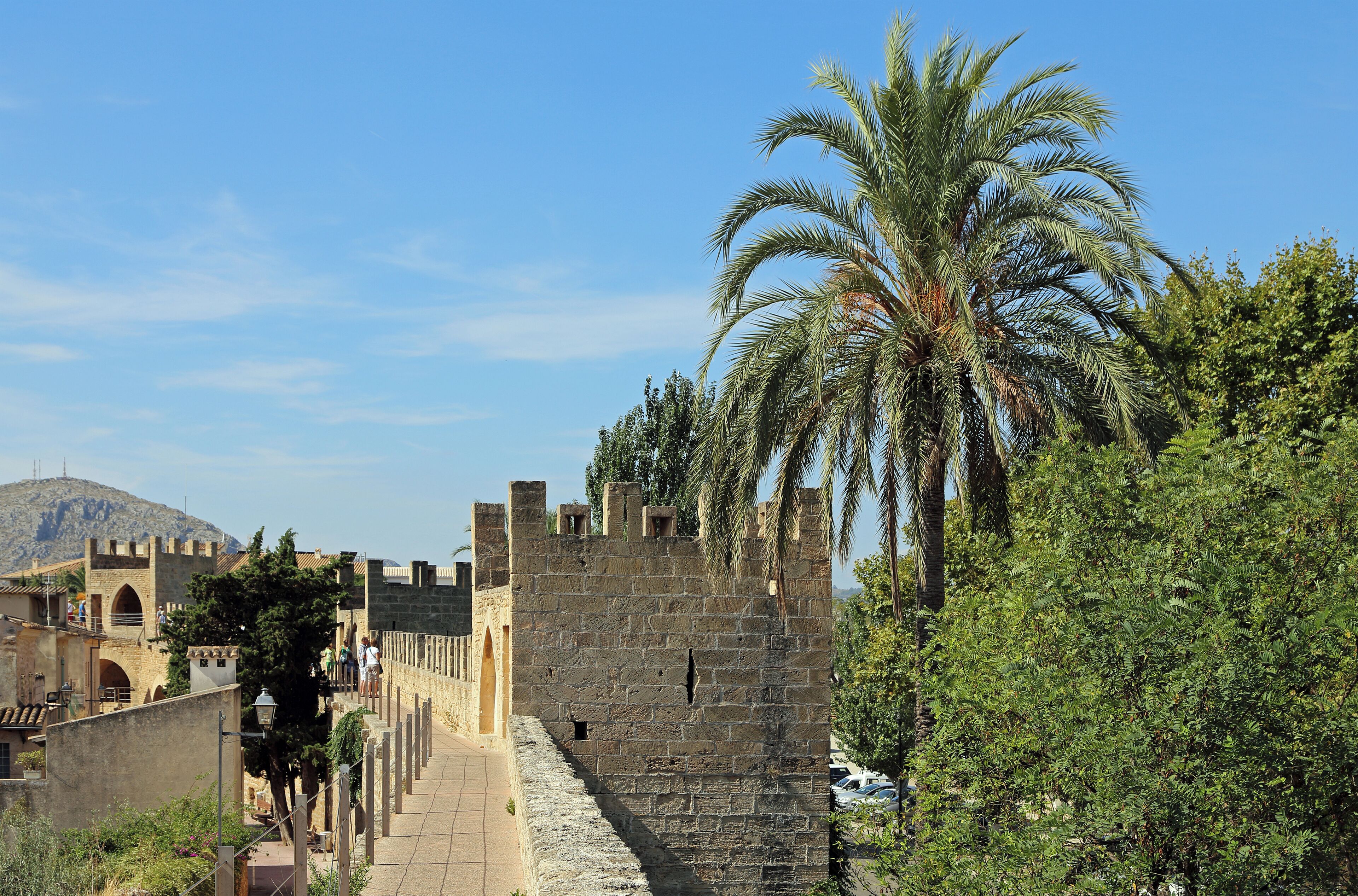 A historic stone wall with a palm tree in the foreground and a mountain in the background.