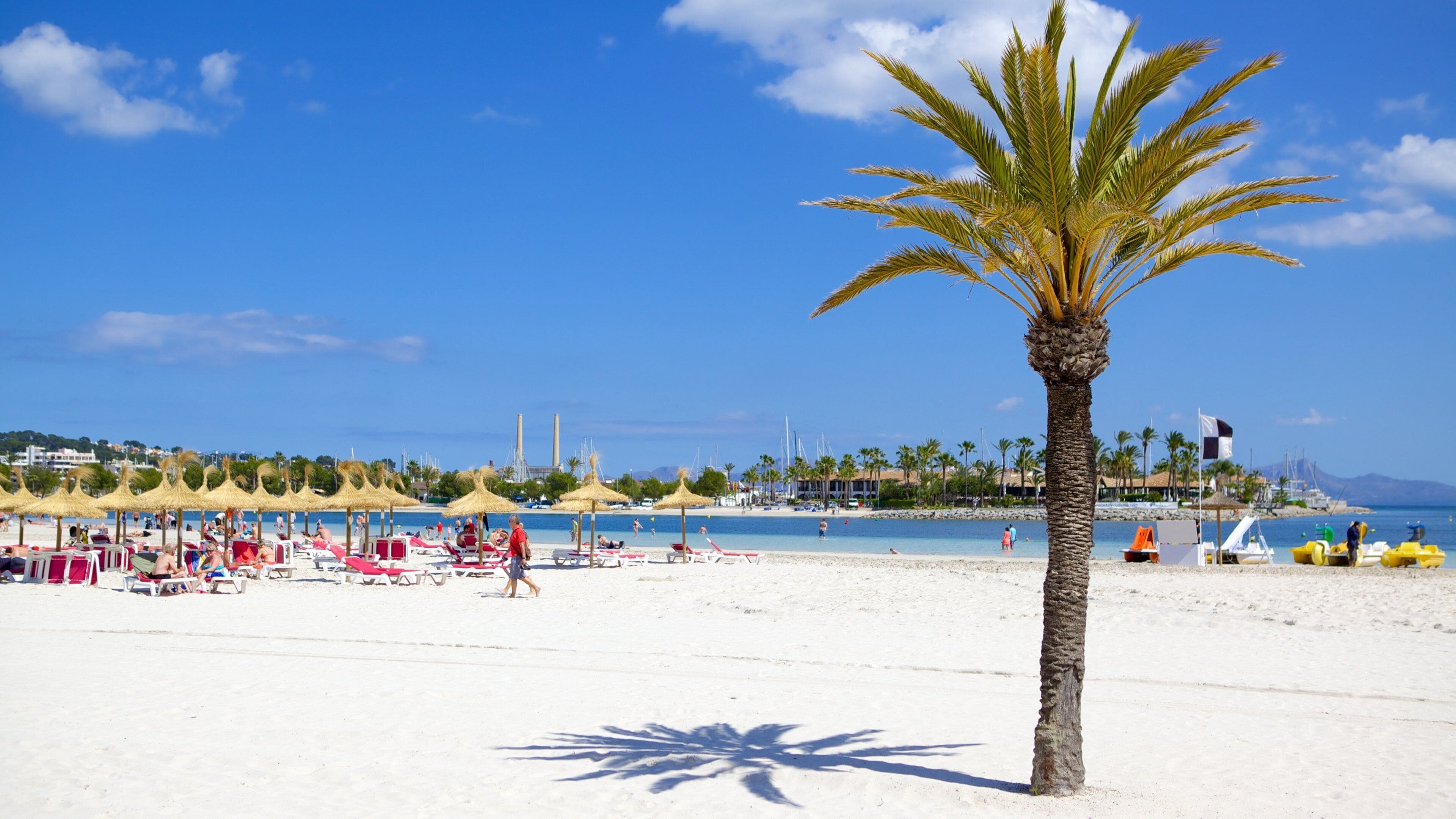 Alcudia showing a beach and tropical scenes