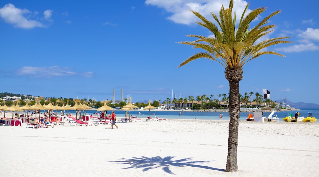 Alcudia showing a beach and tropical scenes