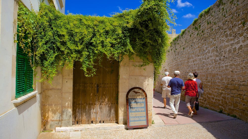 Une ruelle étroite avec une porte en bois et une enseigne.