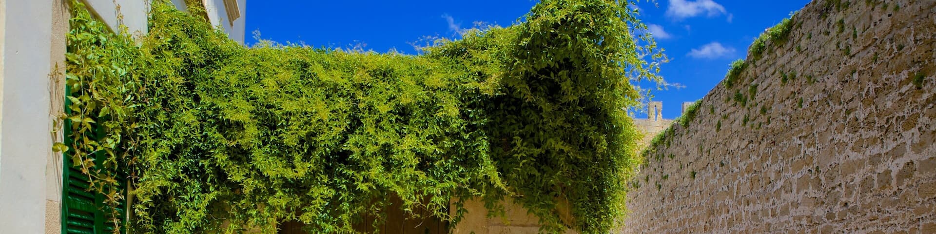 Alcudia featuring vanha arkkitehtuuri