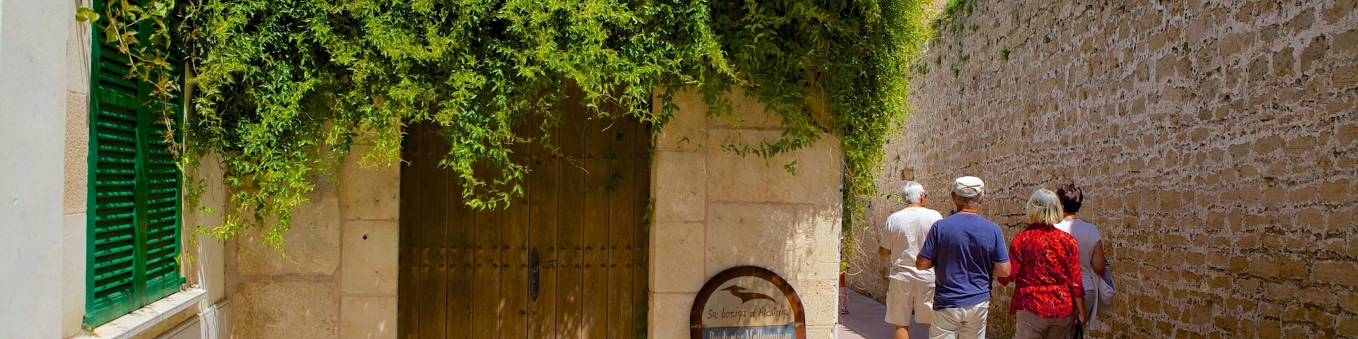 Alcudia showing heritage architecture