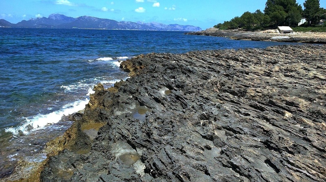 Majorque Alcudia Marina Manresa