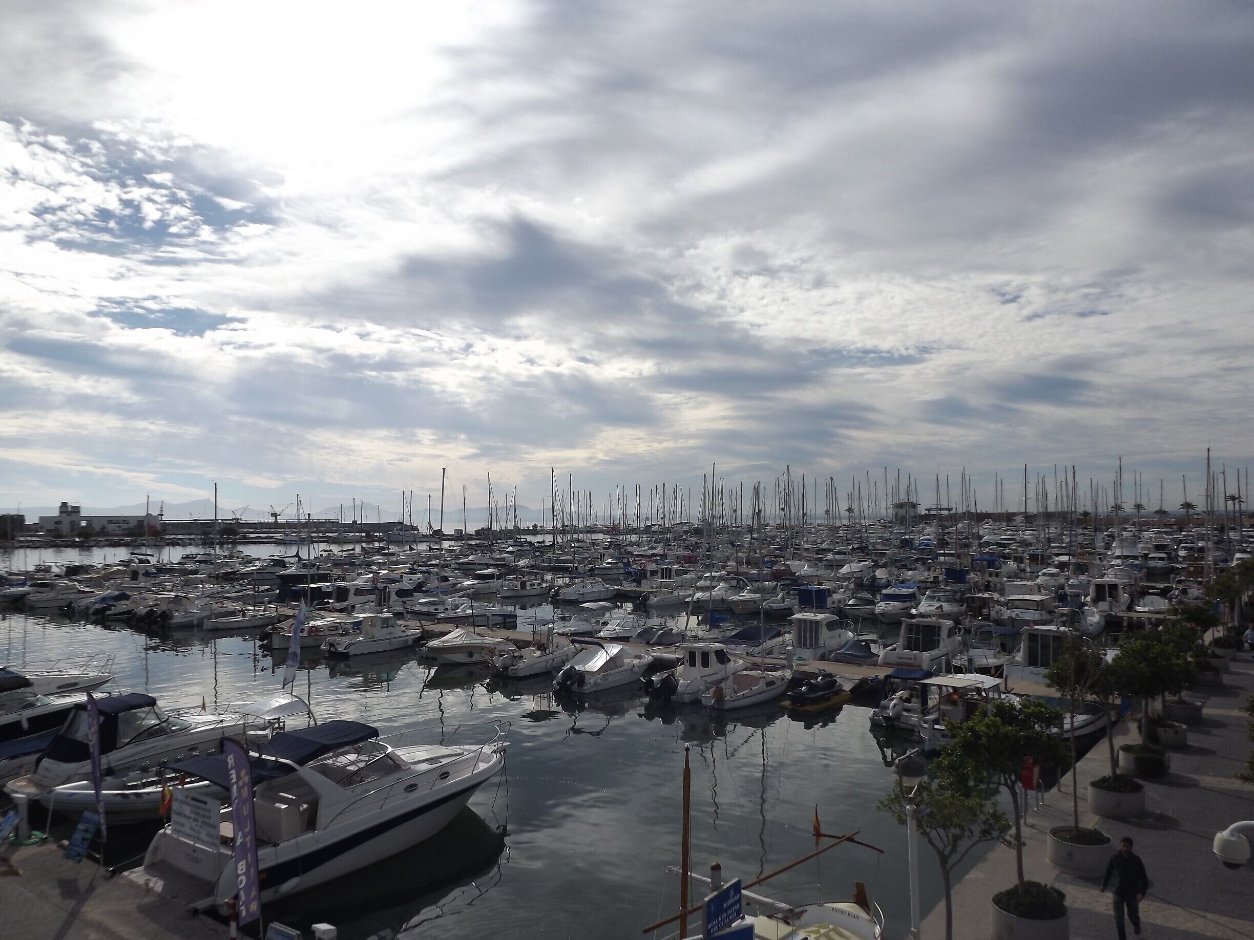 overlooking alcudia harbour
