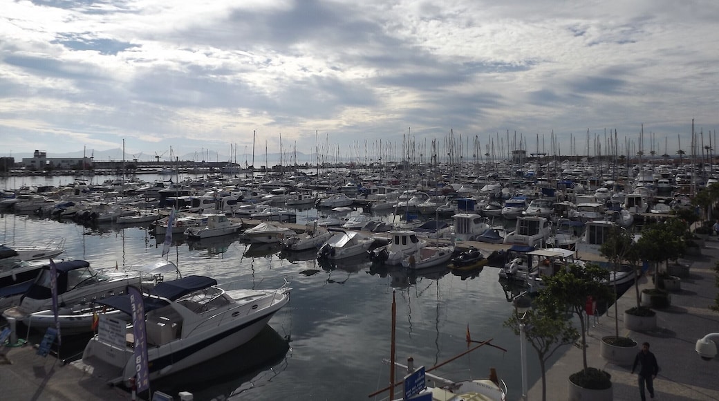 overlooking alcudia harbour