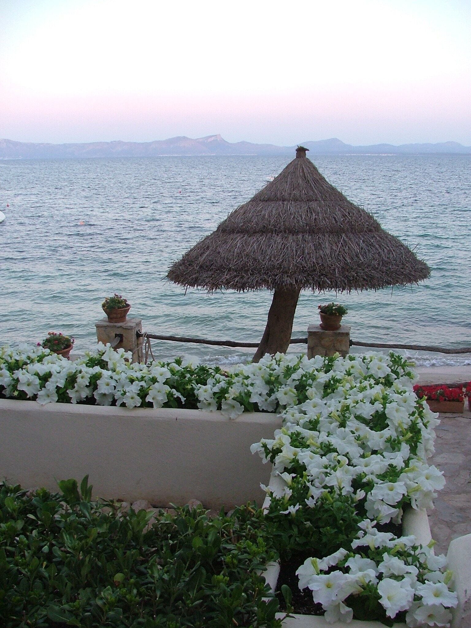 Sunset in Alcanada, Alcudia, Mallorca, Spain