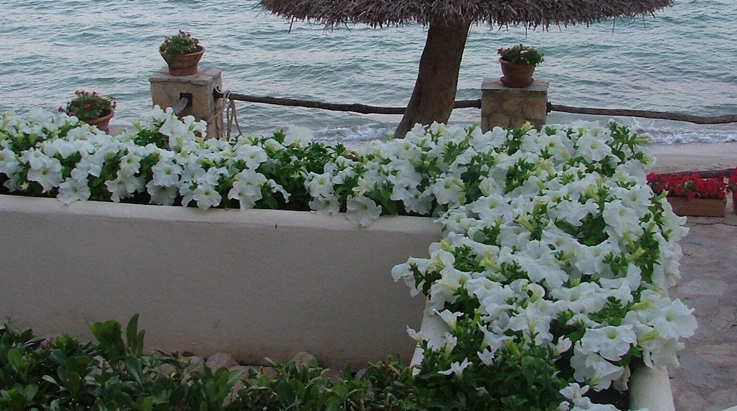 Sunset in Alcanada, Alcudia, Mallorca, Spain