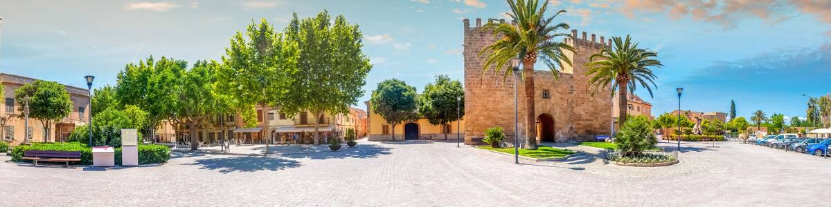 A historic square with a prominent tower, palm trees, and cobblestone streets.
