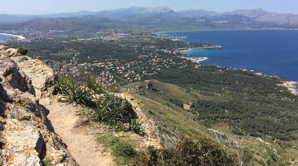 Beautiful views from top of Sa Talaia d'AlcĂșdia mountain (446 m.a.s.l.) on the VictĂČria peninsula. The short but intense hike starts at "Ermita de la Victoria". It's definitely worth it! #hikingmallorca
