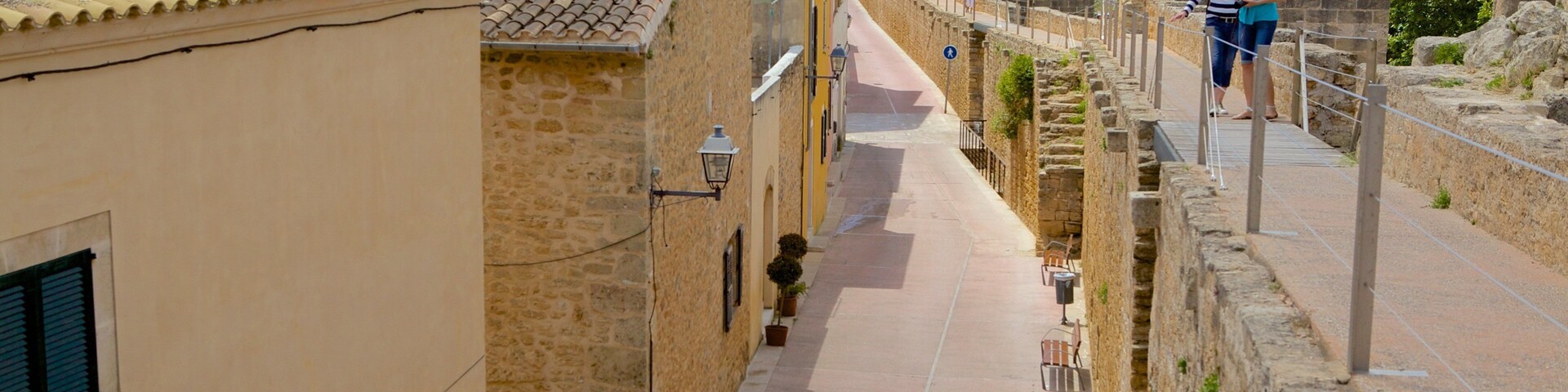 Rua estreita ladeada por edifícios de pedra com telhados de terracota, um caminho pavimentado e vista para montanhas ao longe.