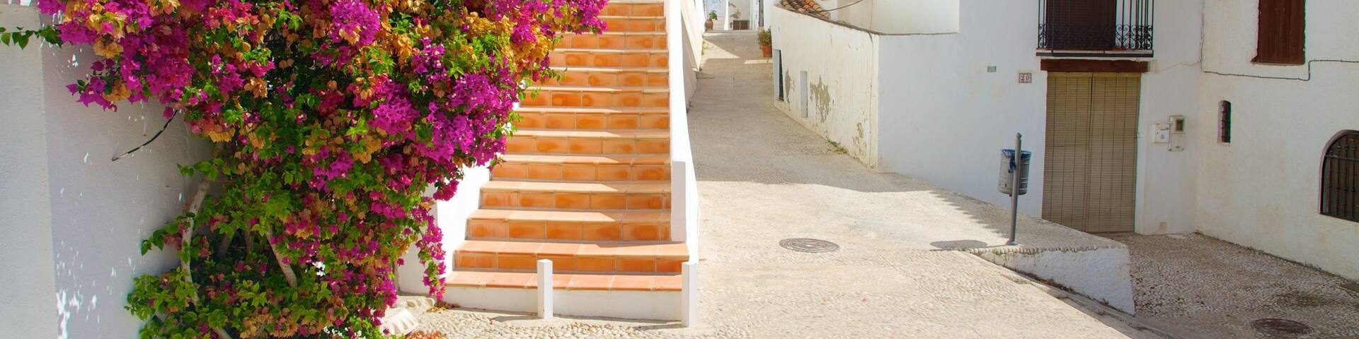 Altea which includes street scenes, a small town or village and flowers