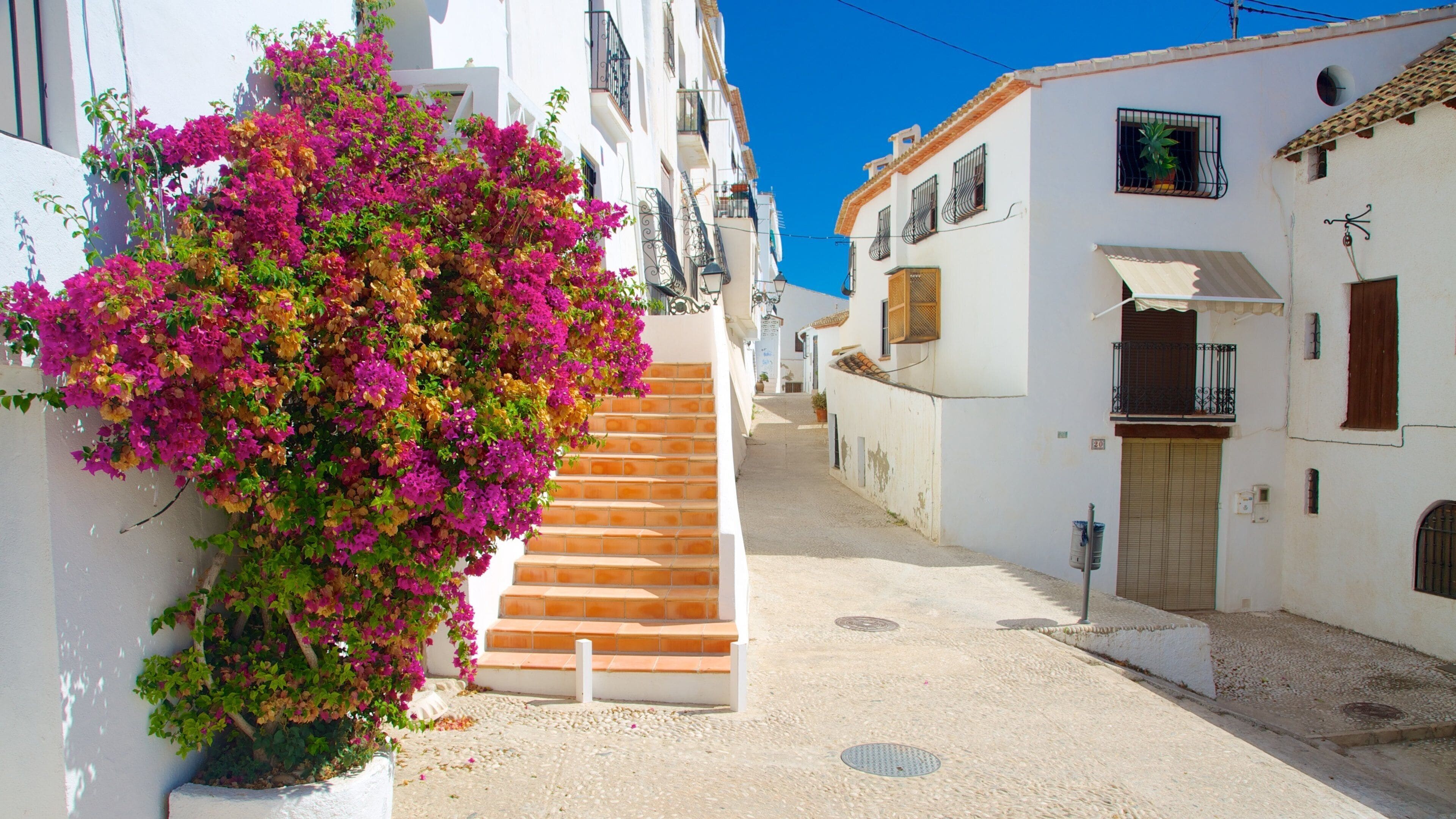 A narrow street with white buildings, a staircase, and vibrant pink bougainvillea.