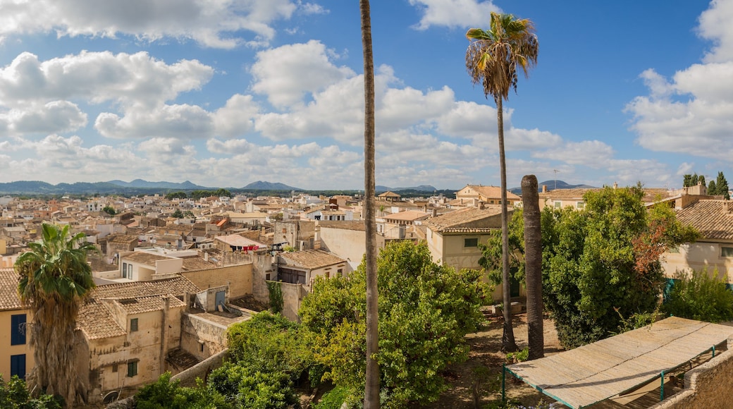 Cityscape overview of the town of Artá, Mallorca island, Spain (Panorama)
