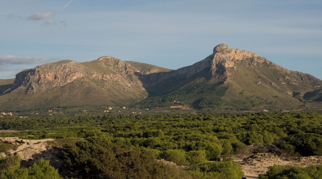 Puig de Ferrutx, Gemeinde Artà, Mallorca, Spanien. Links daneben der Puig d'en Xoroi. Nordwestseite.