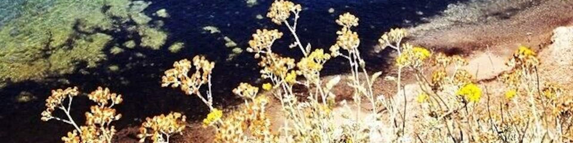 I found my place!!! 😍😍
#Blue