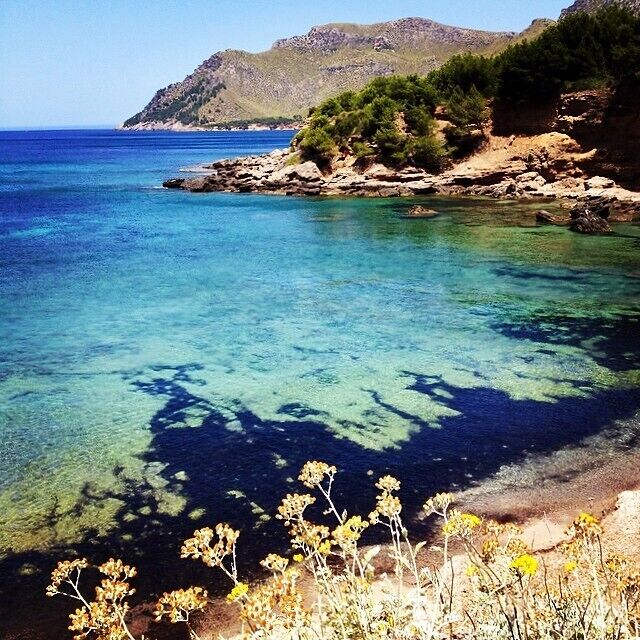 A coastal landscape with clear turquoise waters, rocky shoreline, and green vegetation.