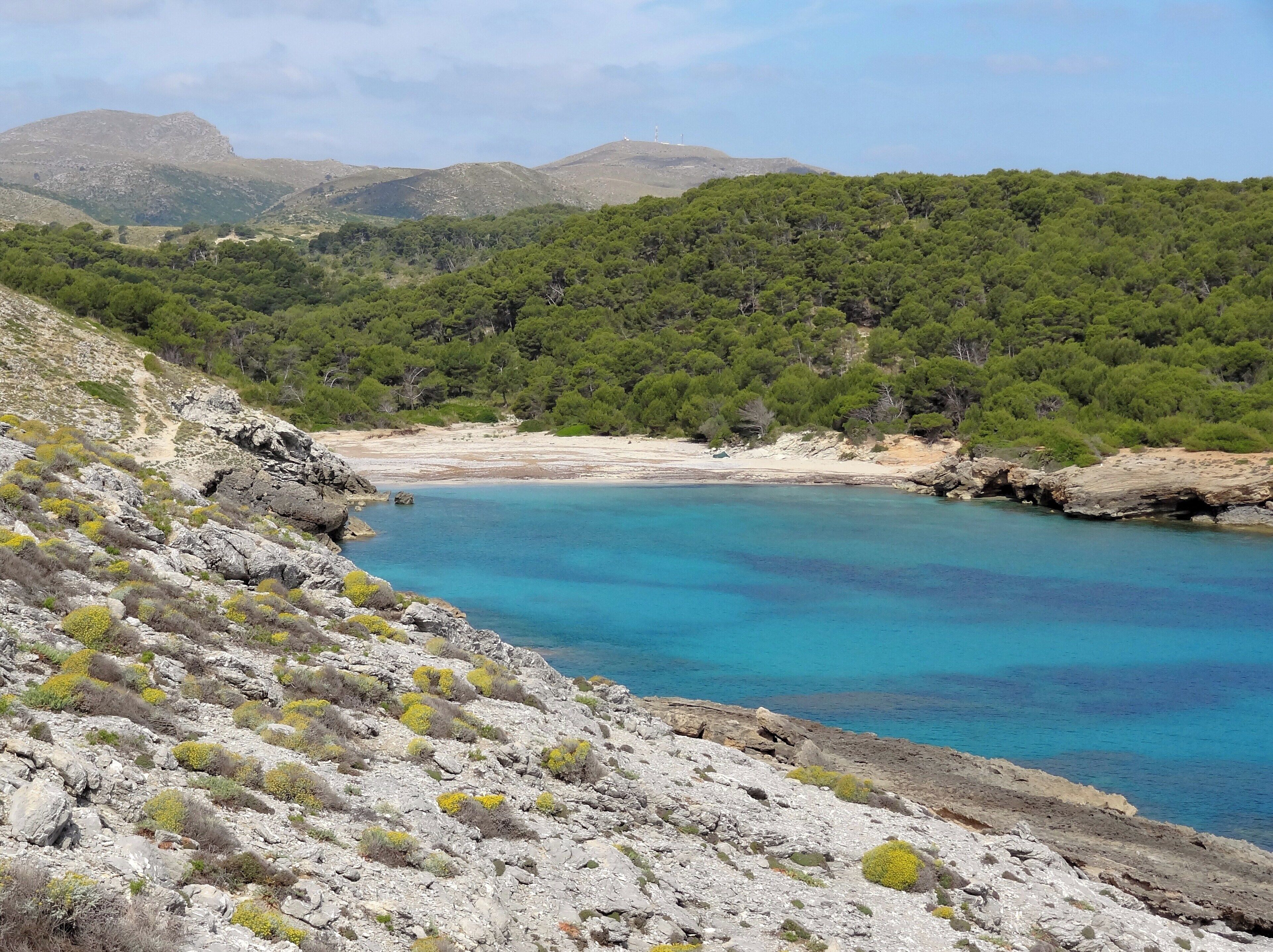 A coastal landscape with a turquoise bay, rocky terrain, and dense green forested hills.
