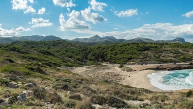 Paisaje costero con playa arenosa, acantilados rocosos y montañas al fondo.