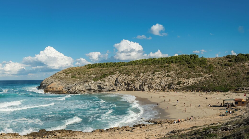 Mallorca Strand Cala Torta