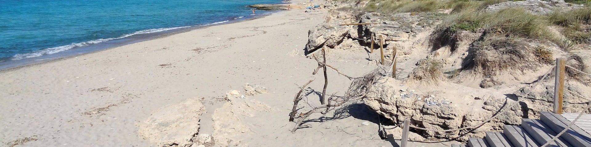 A beach with clear blue water, sandy shore, and mountains in the background.