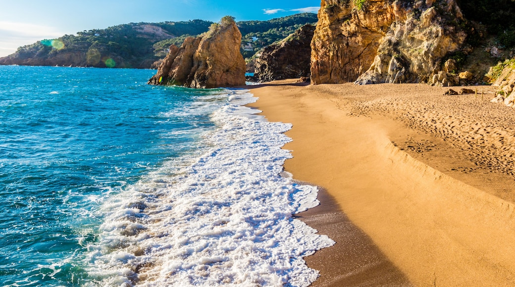Beautiful nudist beach of Illa Roja (Catalonia, Begur, Spain)
