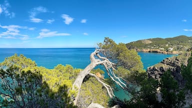 panoramic view from the famous Camí de Ronda hike trail towards the Mediterranean Sea along the coast of the Costa Brava between Pals and Sa Riera, Begur, Catalonia, Girona, Spain