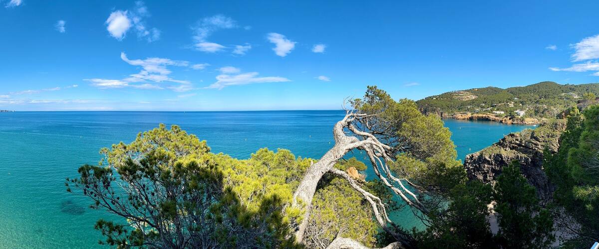 A coastal landscape with clear turquoise waters, a sandy beach, and rocky cliffs with pine trees.