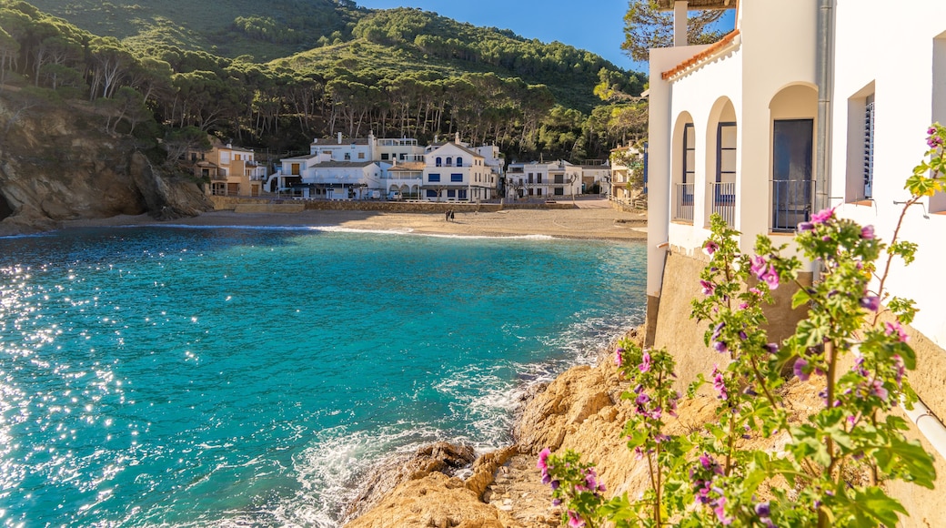 Begur