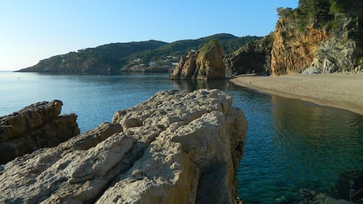 This was one of my favorite spots in Spain. It has clear blueish-green water and was great for swimming and jumping off the rock in front. There is a small cave in the far back corner on the beach which has many mosquito's at night (bummer). This photo was taking in the morning before it got over populated with naked Spaniards swimming and playing ping pong on the beach. I would come here again I had a great time and camped 2 nights on the beach. The location of the beach is the closest I can do but it is referred by the locals as (Platjanudista).#Beach