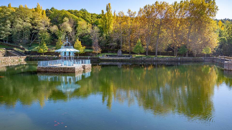 A tranquil pond with a gazebo, surrounded by autumn-colored trees and a stone bridge.