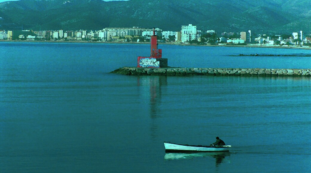 Benicarló, 12580, Castellón, Spain
