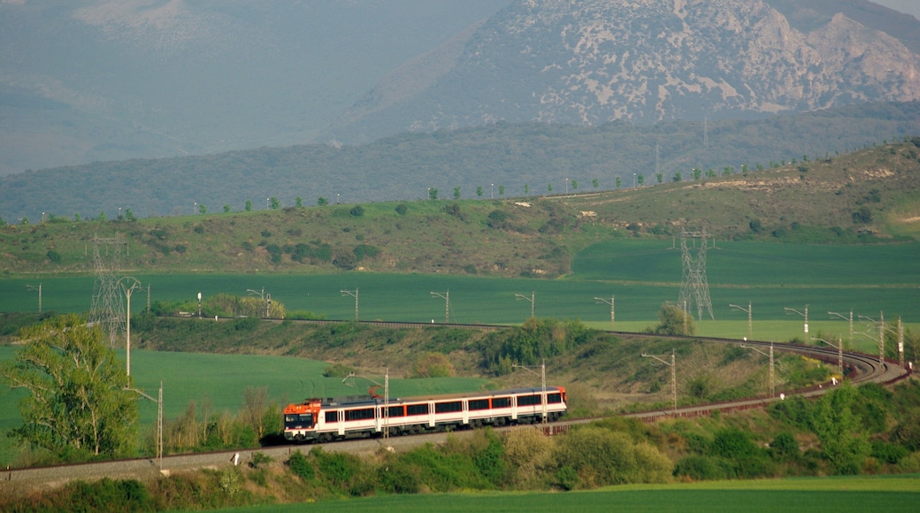 Eso es lo que hace falta para estar a las 8 de la mañana pedaleando para ver a una de estas (aquello de "por una P_T_ patera, dios"). Dí que entre mi pulso de robar panderetas (no me va muy bien ese negocio), y que el tele no es muy allá, la foto tiene la nitidez de un video de movil en pantalla de cine :D Un saludo a todos y gracias por pasaros. PD: Regional Vitoria-Pamplona