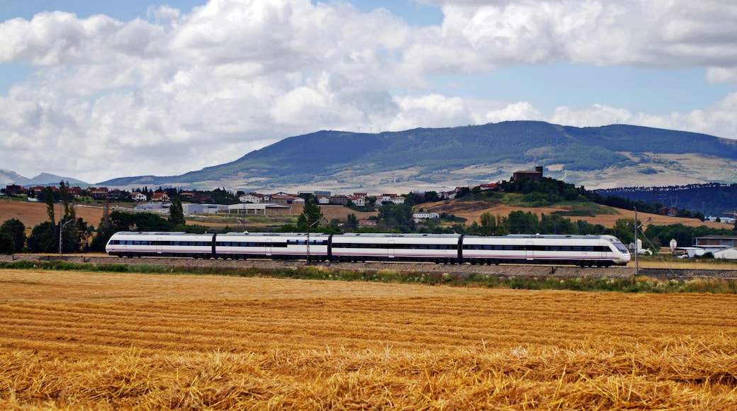 Después de prometernos que sí, que de empalmada cogeríamos las bicis para ir hasta Loza y sendos mensajes a altas horas de la mañana diciendo "hoy no, tío" a la tercera fue la vencida y hasta el pueblo de Loza nos fuimos a pasar la mañana. Entre ratos de frío y calor por el maravilloso tiempo estival norteño nos llevamos mercantes, Alvias y pateras. En concreto en la foto podemos ver un Alvia, el heredero del Finisterre surcando la linea navarra hacia el norte 5 minutos después de salir de Pamplona. Un abrazo a Adrià y otro a todos vosotros por pasar por aquí una vez más.