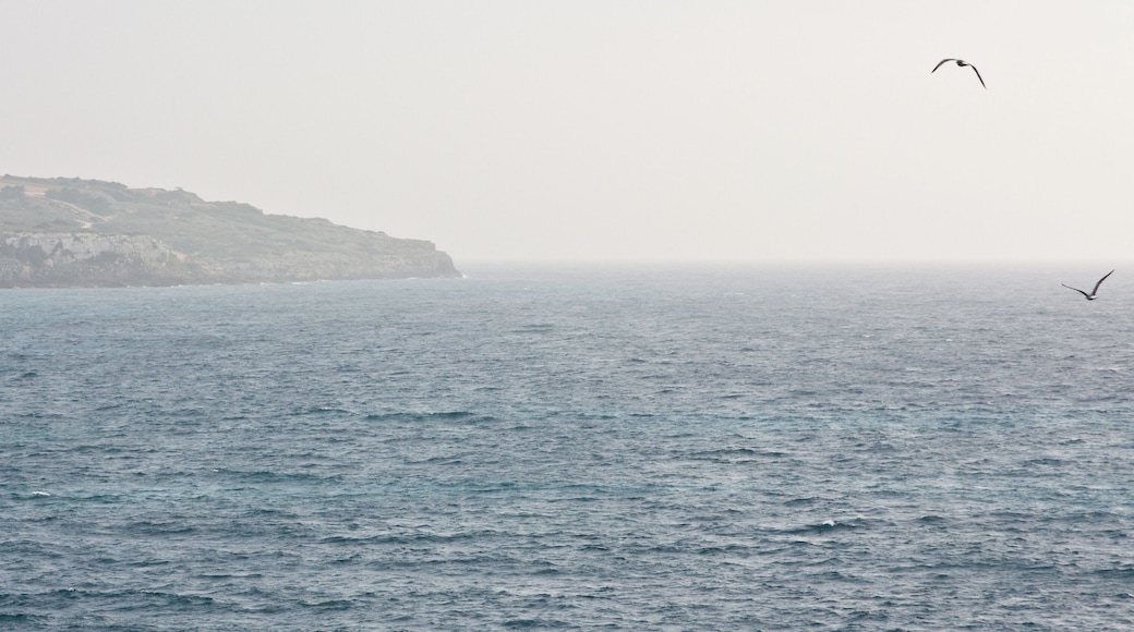 Como cada Domingo, llega el momento de volver a casa,... y este ha durado una hora menos...