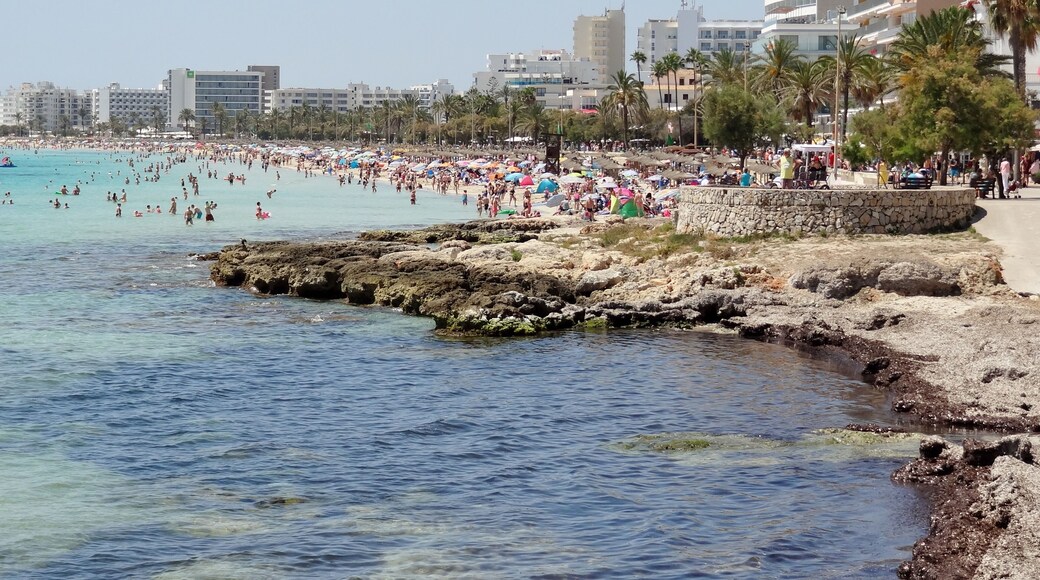 Arenal de Son Servera, Strand von Cala Millor, Gemeinde Son Servera, Mallorca, Spanien