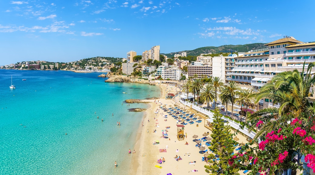 Cala Mayor