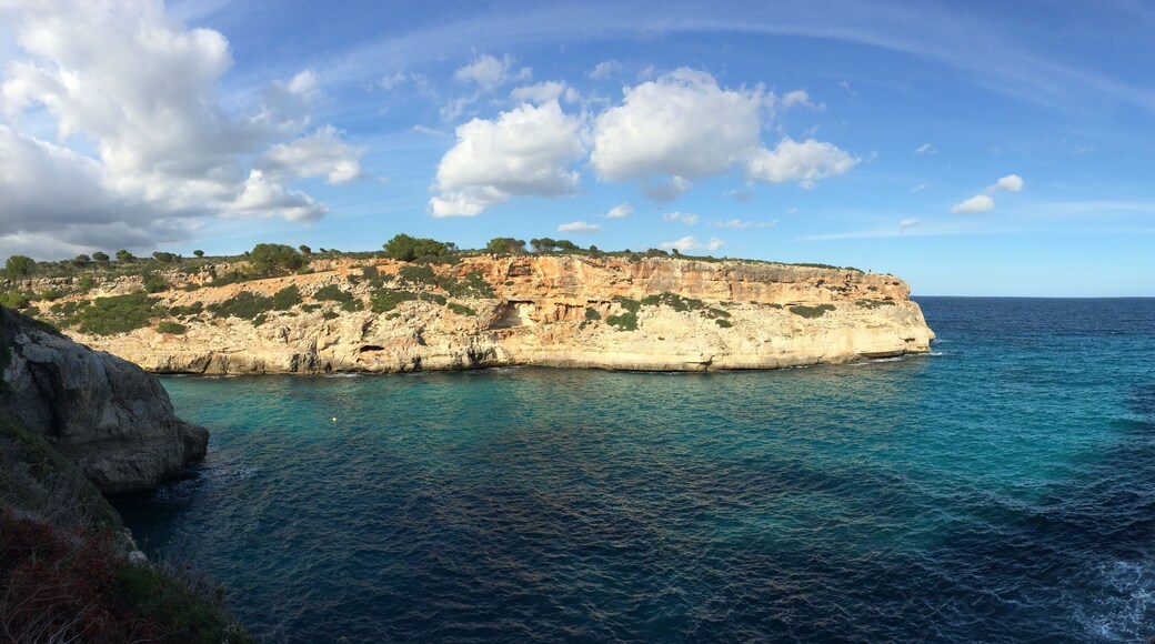 Calas de Mallorca