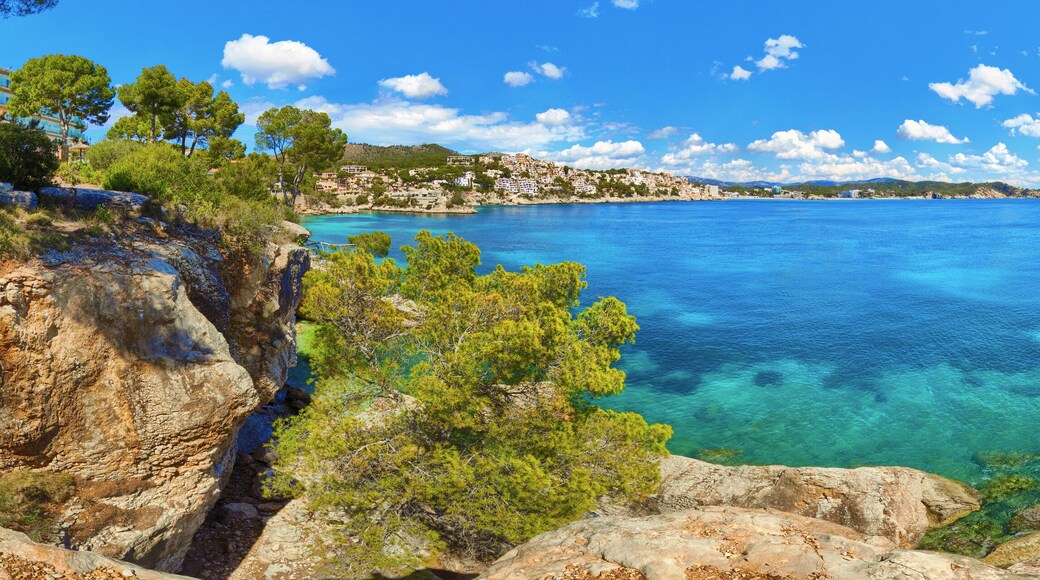 Calas de Mallorca
