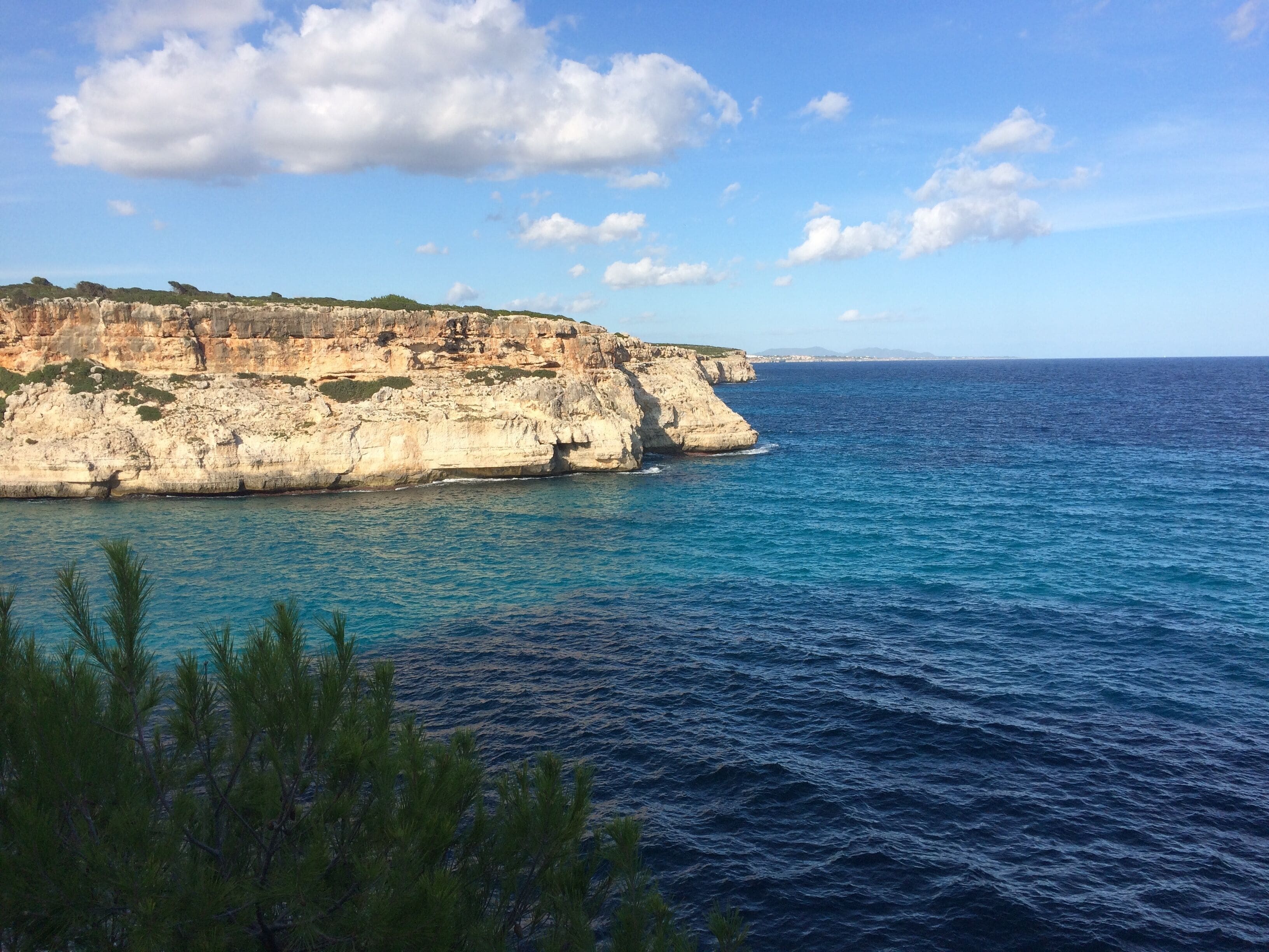 A coastal landscape with cliffs and the sea.