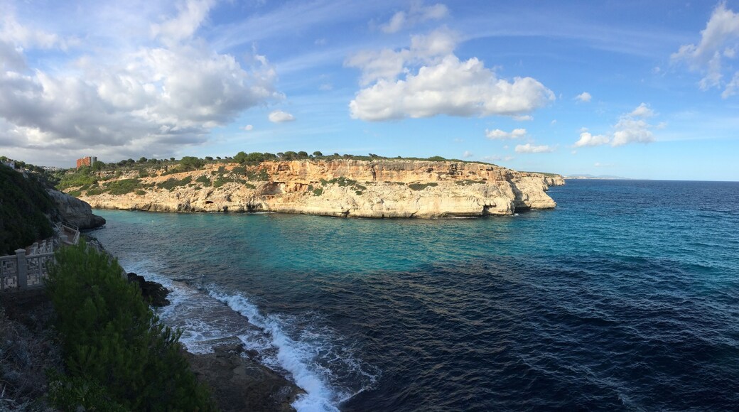 Calas de Mallorca