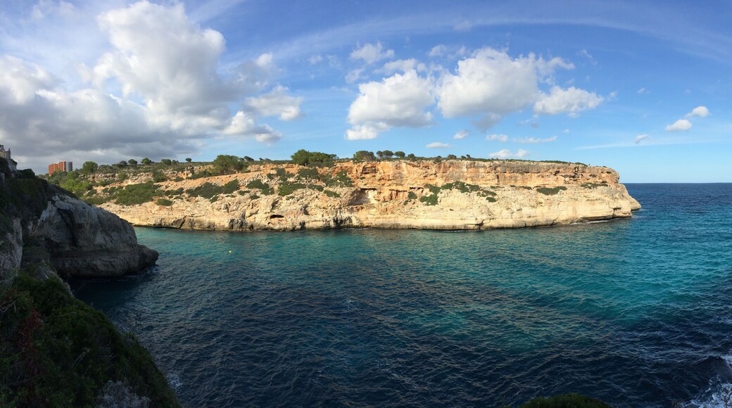 Calas de Mallorca