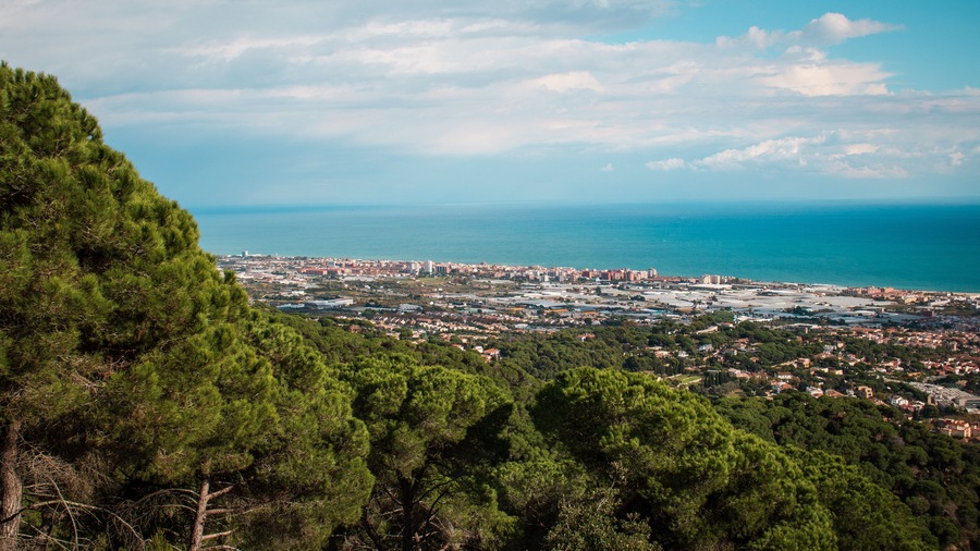 A coastal cityscape with dense urban development, a clear blue sky, and a backdrop of the sea.