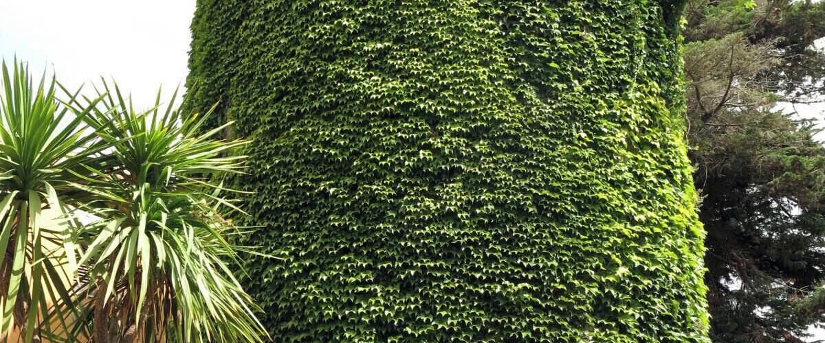 La Torre Verda (Caldes d'Estrac)