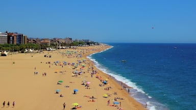 A crowded beach with people sunbathing and swimming, a clear blue sky, and buildings in the background.