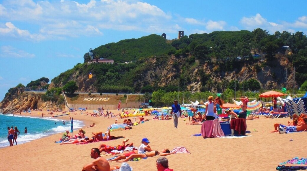 Beautiful clean white sand for miles and crystal clear turquoise water. Parties & bars on the beach, some free concerts in the summer time. You can hike up into the hill here, there are some old ruins up there, you can see peeking out from the trees in this photo.
Apparently since the 70's, Calella, was a booming tourist destination for Western Europeans and the British. It has been on a massive decline over the past decade. What's left behind though are some fun Dutch and English/Irish pubs, a small welcoming expat community, and one of the most incredible beaches you will ever lay your eyes on.
If you happen to find yourself here, you must stop in at Beach Boys Club, tell the owners, Brian & Cathy, that Amber sent you. Then hit up Brian for his secret stash of American imported Budweiser (Did you know the bottled stuff is always produced in country? Brian believes the secrets in the water, so he gets the cans from the US. Brian is British, which makes this little story even better.)
Also, be prepared to eat a lot of rotisserie chicken.