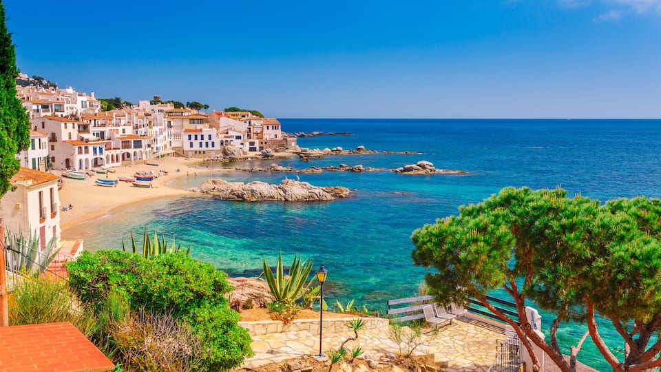 A coastal town with white buildings, clear blue sea, rocky shoreline, and a tree in the foreground.