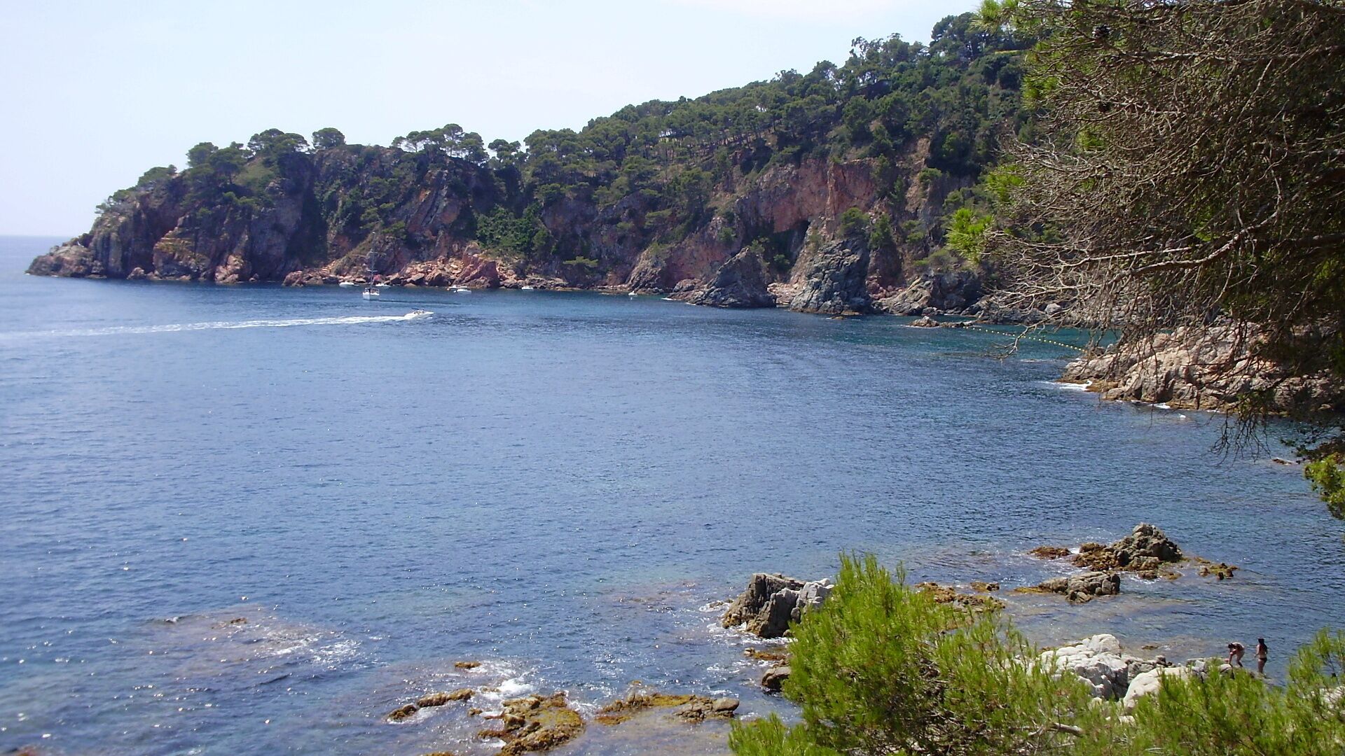 Detall del Cap Roig vist des la platja del Golfet (Calella de Palafrugell)