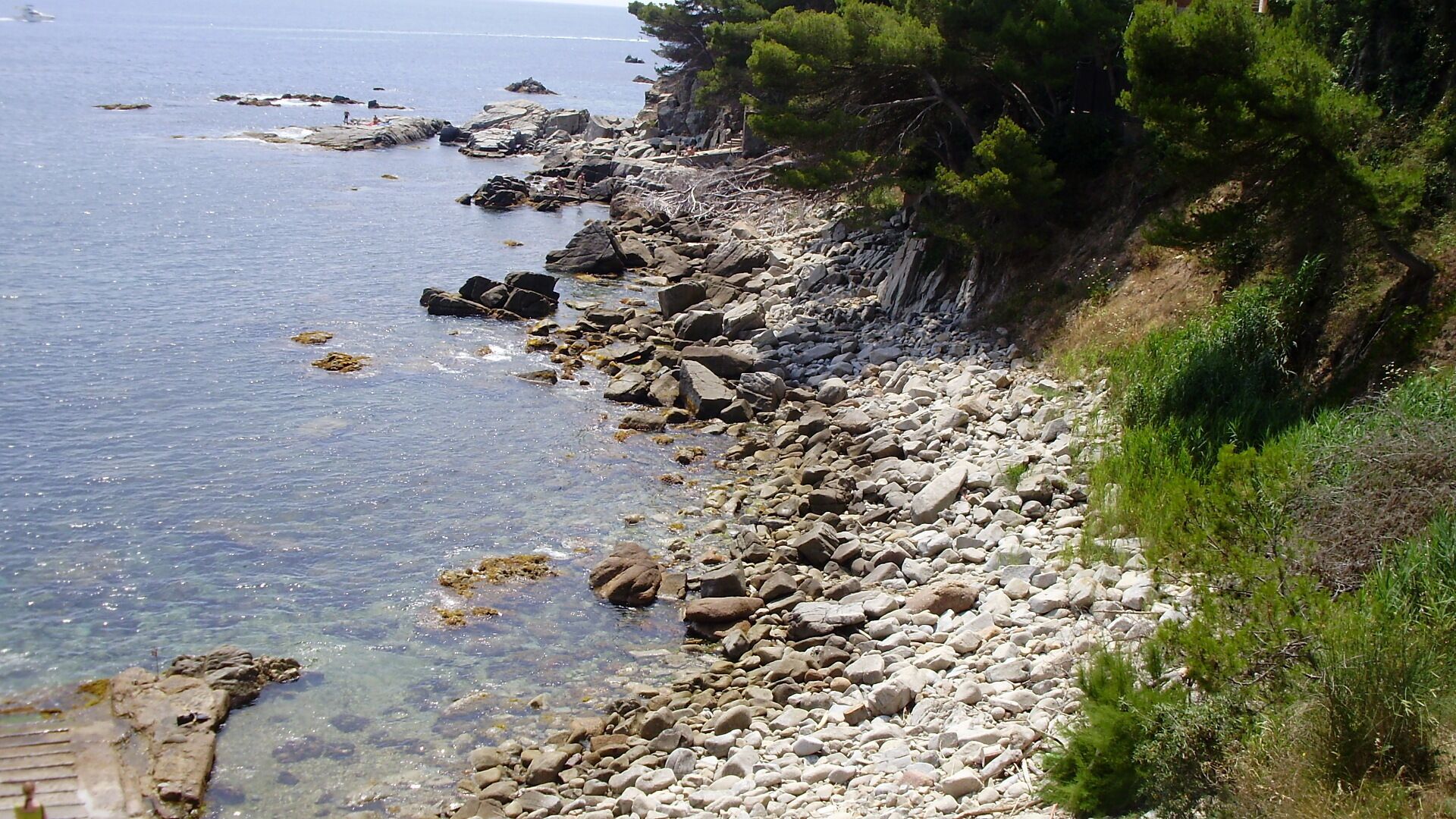 Detall camí de ronda Calella de Palafrugell al Golfet