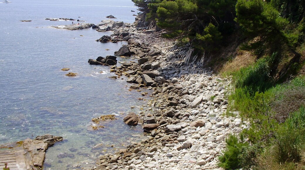 Detall camí de ronda Calella de Palafrugell al Golfet